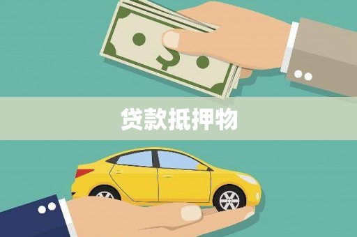 澜沧贷款抵押物