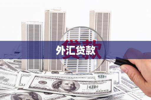 澜沧外汇贷款