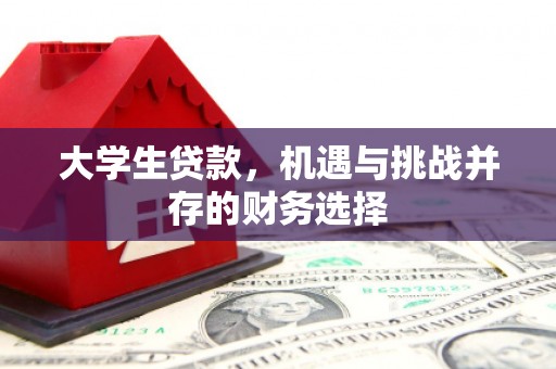 澜沧大学生贷款，机遇与挑战并存的财务选择