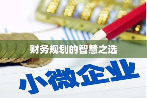 澜沧财务规划的智慧之选