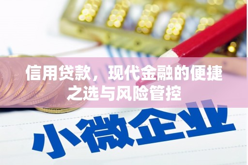 澜沧信用贷款，现代金融的便捷之选与风险管控