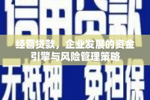澜沧经营贷款，企业发展的资金引擎与风险管理策略