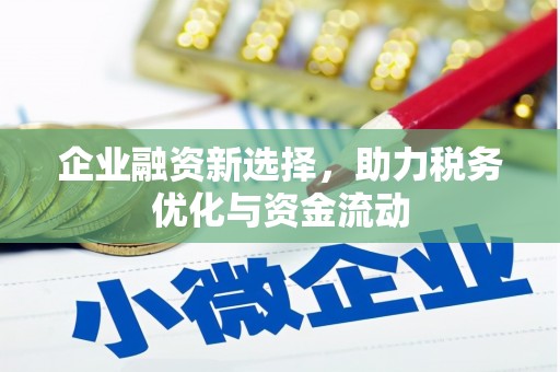 澜沧企业融资新选择，助力税务优化与资金流动