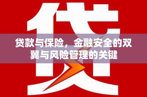 澜沧贷款与保险，金融安全的双翼与风险管理的关键