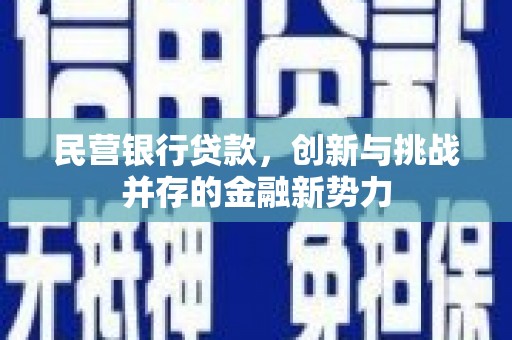 澜沧民营银行贷款，创新与挑战并存的金融新势力