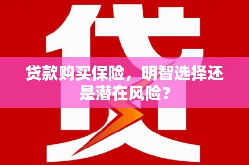 澜沧贷款购买保险，明智选择还是潜在风险？