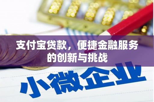 澜沧支付宝贷款，便捷金融服务的创新与挑战