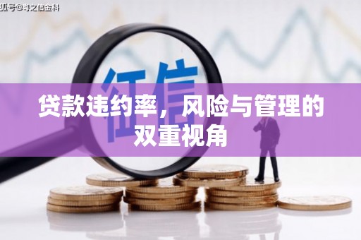 澜沧贷款违约率，风险与管理的双重视角