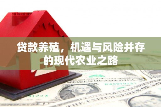 澜沧贷款养殖，机遇与风险并存的现代农业之路