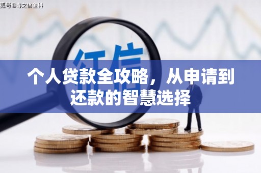 澜沧个人贷款全攻略，从申请到还款的智慧选择