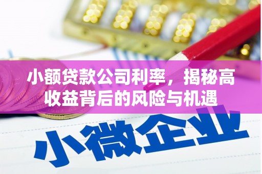 澜沧小额贷款公司利率，揭秘高收益背后的风险与机遇