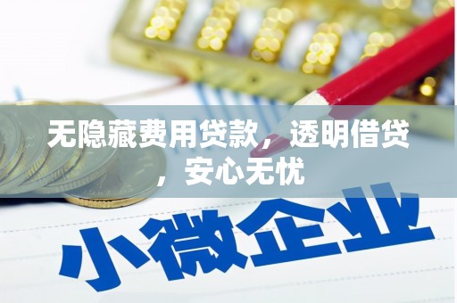 澜沧无隐藏费用贷款，透明借贷，安心无忧