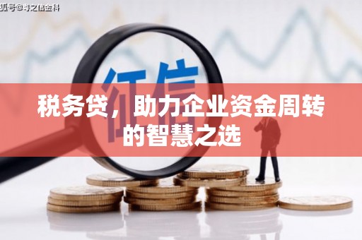 澜沧税务贷，助力企业资金周转的智慧之选