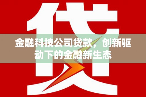 澜沧金融科技公司贷款，创新驱动下的金融新生态