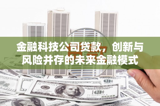 澜沧金融科技公司贷款，创新与风险并存的未来金融模式