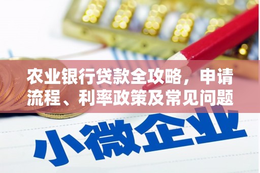 澜沧农业银行贷款全攻略，申请流程、利率政策及常见问题解析