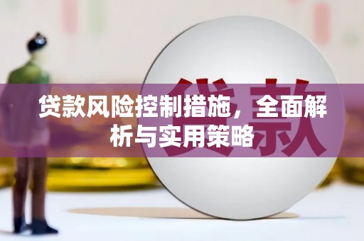 澜沧贷款风险控制措施，全面解析与实用策略