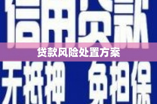 澜沧贷款风险处置方案
