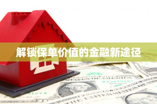 澜沧解锁保单价值的金融新途径