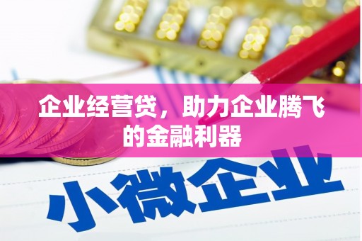 澜沧企业经营贷，助力企业腾飞的金融利器