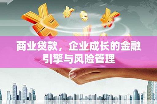 澜沧商业贷款，企业成长的金融引擎与风险管理