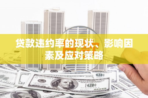 澜沧贷款违约率的现状、影响因素及应对策略