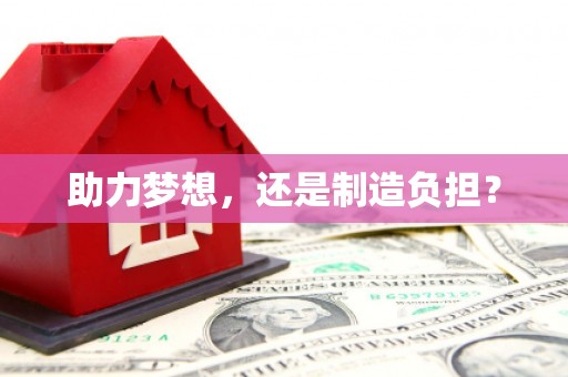 澜沧助力梦想，还是制造负担？