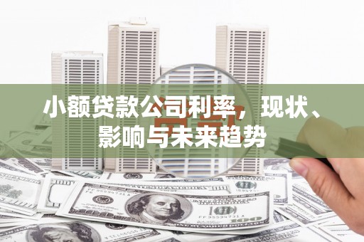 澜沧小额贷款公司利率，现状、影响与未来趋势