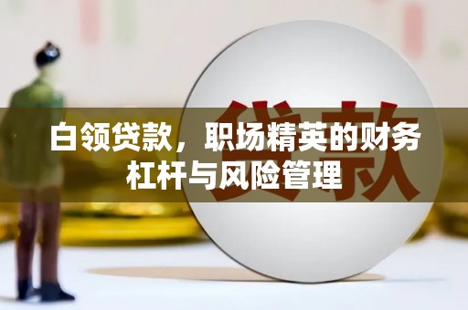 澜沧白领贷款，职场精英的财务杠杆与风险管理