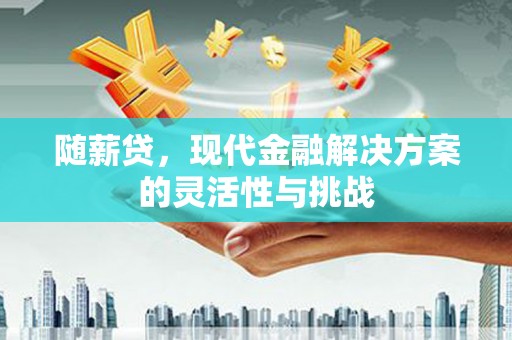 澜沧随薪贷，现代金融解决方案的灵活性与挑战