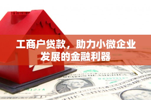 澜沧工商户贷款，助力小微企业发展的金融利器