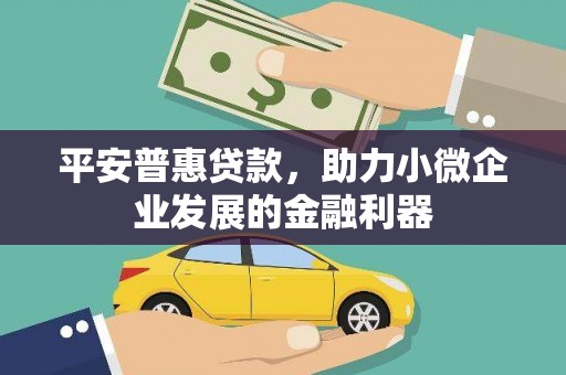 澜沧平安普惠贷款，助力小微企业发展的金融利器