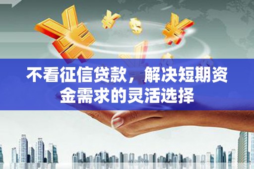 澜沧不看征信贷款，解决短期资金需求的灵活选择