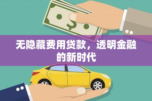 澜沧无隐藏费用贷款，透明金融的新时代