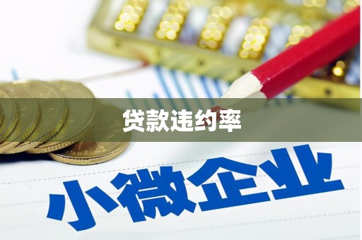 澜沧贷款违约率