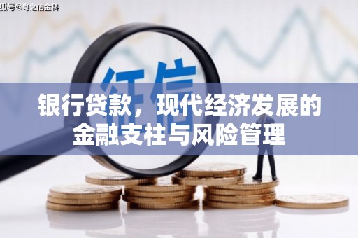 澜沧银行贷款，现代经济发展的金融支柱与风险管理
