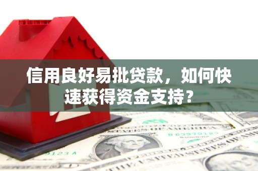 澜沧信用良好易批贷款，如何快速获得资金支持？