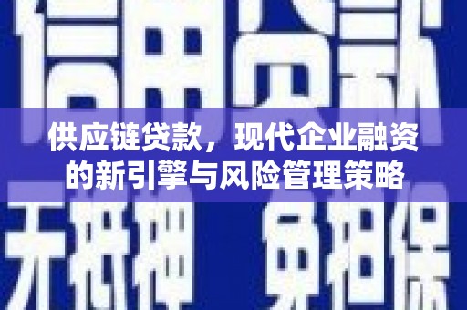 澜沧供应链贷款，现代企业融资的新引擎与风险管理策略