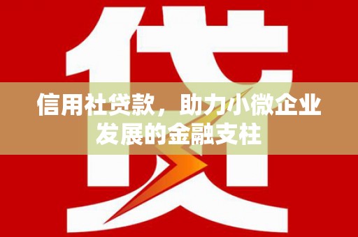 澜沧信用社贷款，助力小微企业发展的金融支柱