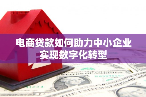 澜沧电商贷款如何助力中小企业实现数字化转型