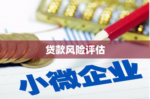 澜沧贷款风险评估