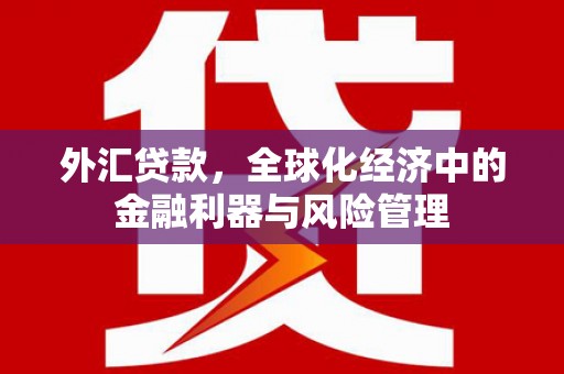 澜沧外汇贷款，全球化经济中的金融利器与风险管理