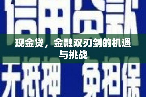 澜沧现金贷，金融双刃剑的机遇与挑战