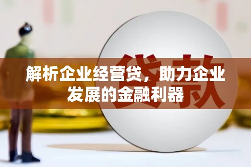 澜沧解析企业经营贷，助力企业发展的金融利器