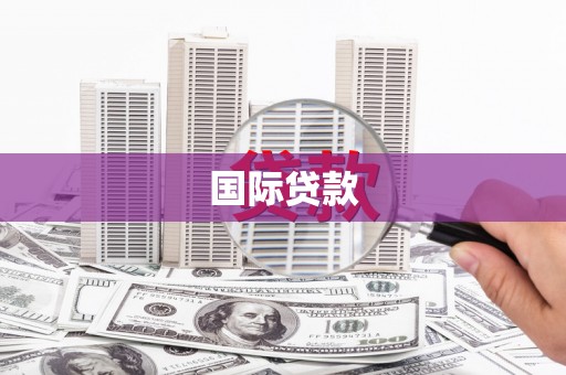 澜沧国际贷款