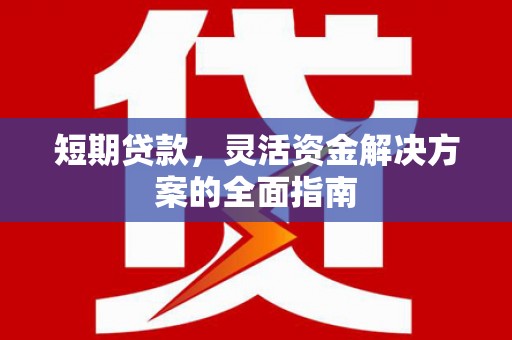 澜沧短期贷款，灵活资金解决方案的全面指南