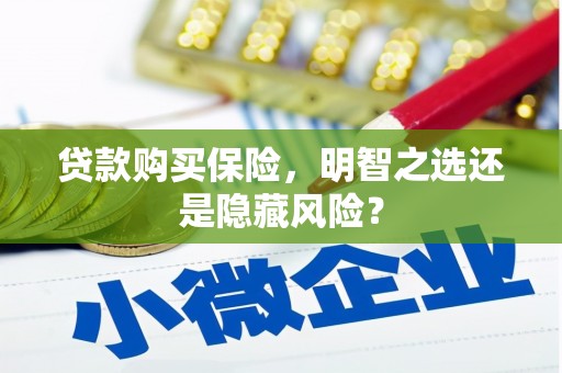 澜沧贷款购买保险，明智之选还是隐藏风险？
