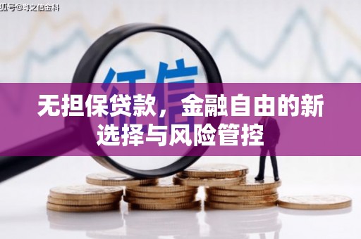 澜沧无担保贷款，金融自由的新选择与风险管控