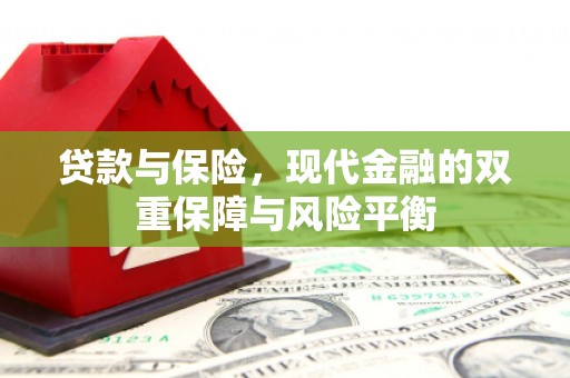 澜沧贷款与保险，现代金融的双重保障与风险平衡