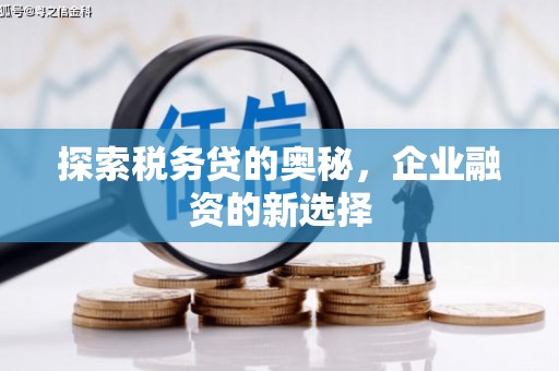 澜沧探索税务贷的奥秘，企业融资的新选择